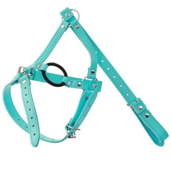 Masque Cuir Bâillon Gag-ball LOVE AND VIBES - Noir Similicuir - Unisexe - Modèle LV-N09-LV4