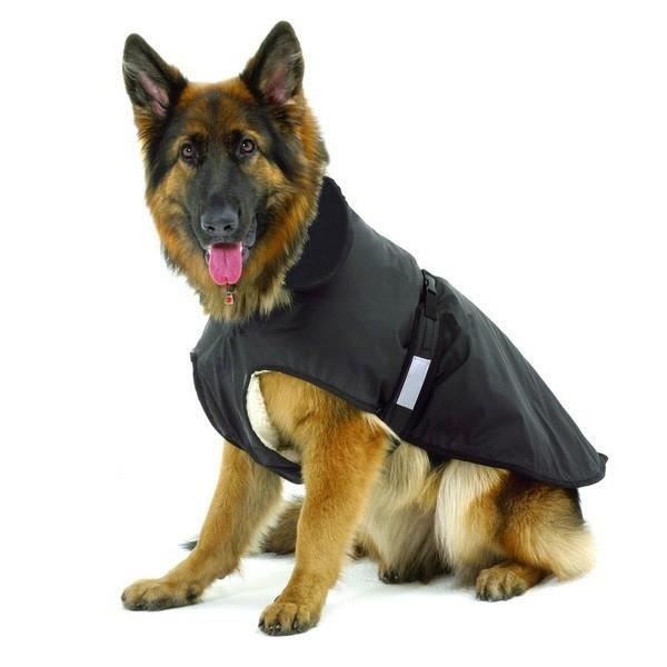 Manteau imperméable pour Chien Outdoor