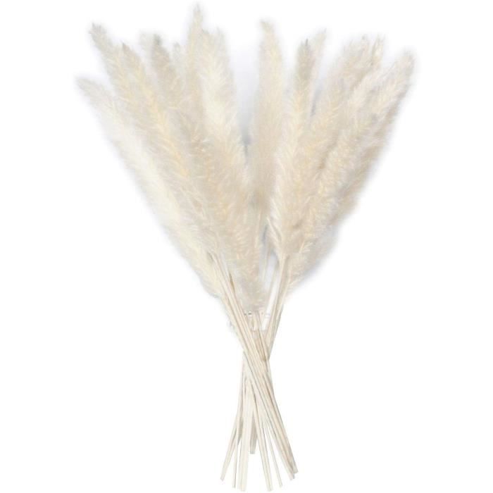FLEUR SECHEE XZMAN 15 Pcs Séchées Pampas Herbe Reed Grass Plume Naturel Artificiel Pampas Herbe Séché132
