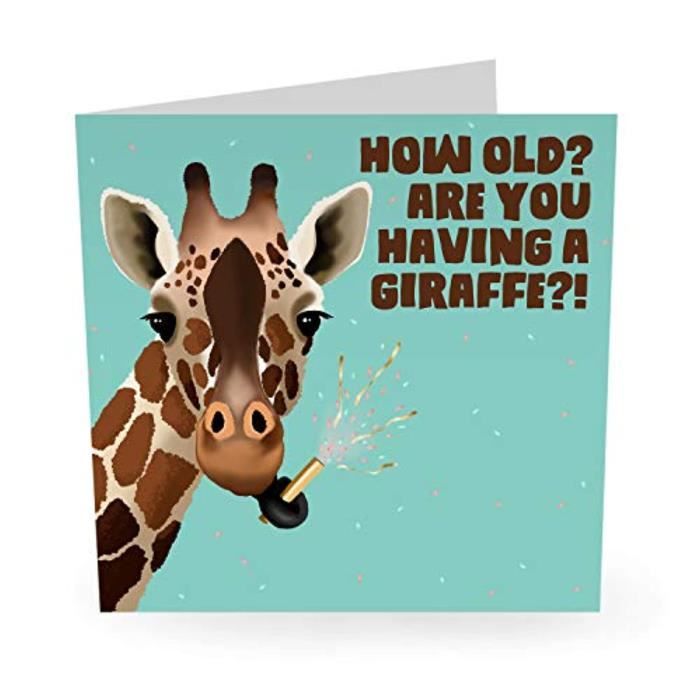 Kit Papier Creatif C3gp7 Carte D Anniversaire Pour Lui Ou Elle Avoir Une Girafe Carte Animale Maman Et Papa Mignon Spirituel V Cdiscount Beaux Arts Et Loisirs Creatifs