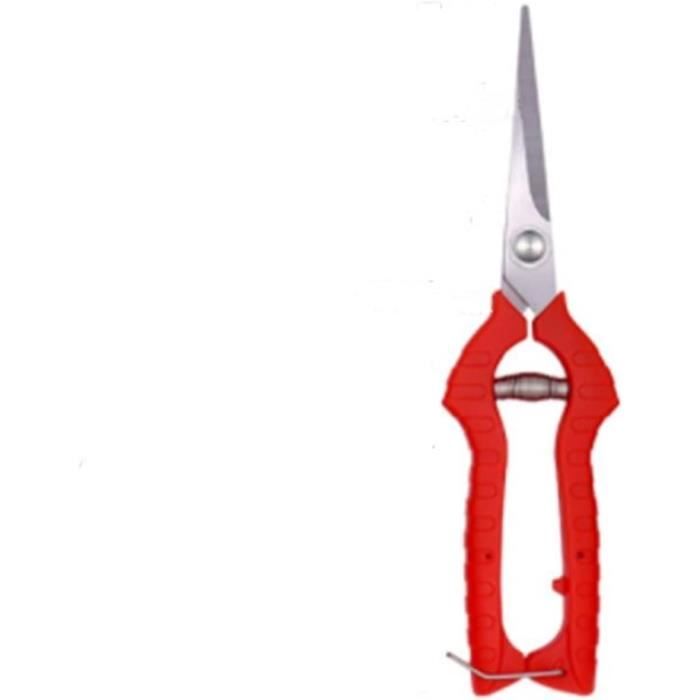 BACSHBY 4 Pièces Secateur De Jardin, Petites Ciseaux
