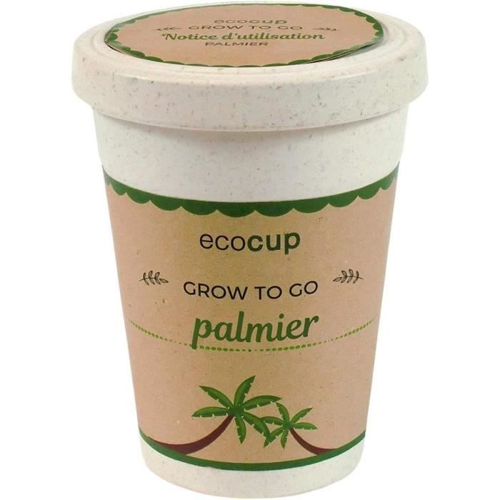 Ecocup, Palmier Exotics, Idée Cadeau (100% Ecologique), Grow-Your-Own ...