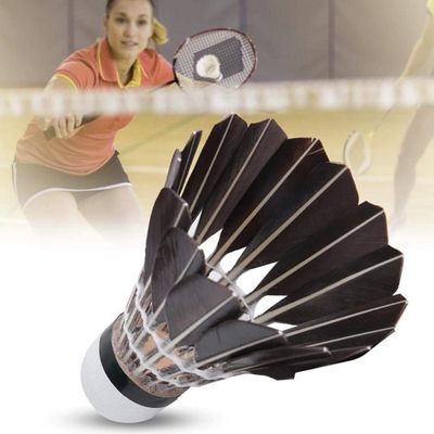 PHIBER-Sports Volants Badminton Plumes Nylon – Parfaits Débutants, Familles, Pros – Résistants Au Vent – Lot 10 Jaunes