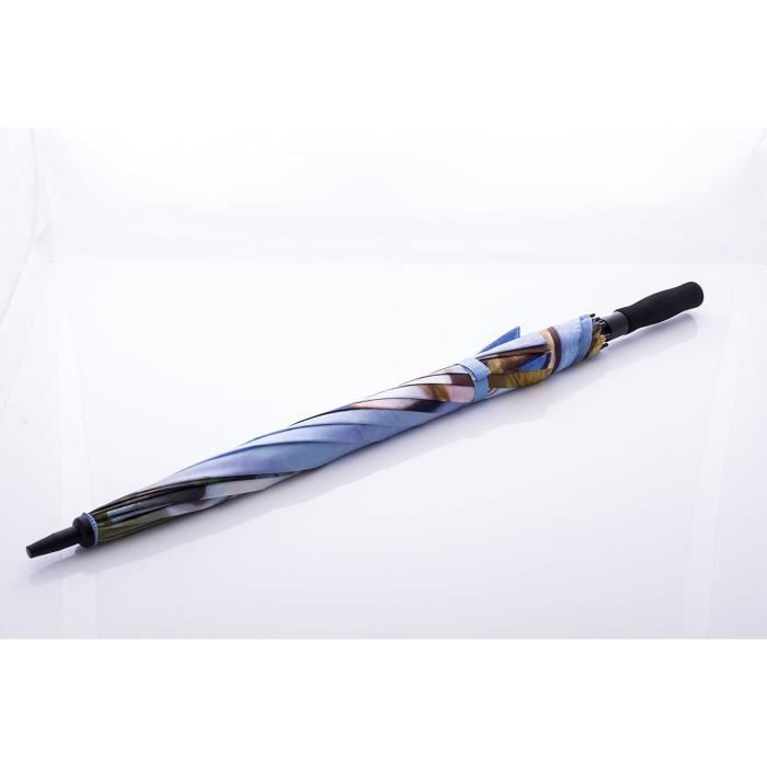 Goethe Parapluie Automatique Avec Motif Artistique Et Cadre En Fibre De