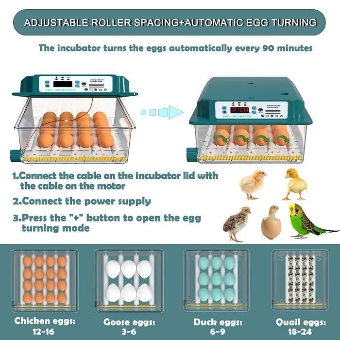 Incubateur D'œufs Avec Contrôleur De Température Et D'humidité, Pour Poulet, Canard, Caille, 110 V