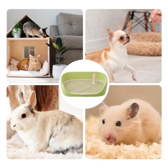 Doggy Bathroom, Des Toilettes Pour Chien Dans La Maison