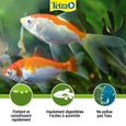 TETRA Aliment complet Pond Pellets Mini en granulés - Pour petit poisson de bassin - 4L-4
