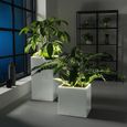 Pot de fleur LECHUZA Canto Premium Cube 40 - kit complet LED, blanc brillant-4