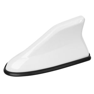 BRIN ANTENNE DE TOIT NOIR 40CM FIAT 500