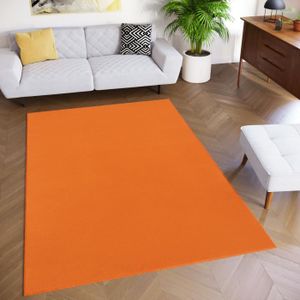 TAPIS TAPISO Tapis de Salon Chambre MONO Orange Design U