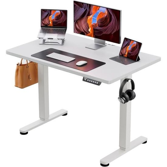 Flexispot Bureau Assis Debout ErGear Bureau Assis Debout Électrique, Bureau Réglable En Hauteur 120 X 60 Cm, Avec Rangement, Tiroir Et 2 Ports De Charge, 3 Mémoires, Plateau En Verre Plateau Bureau