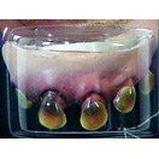 Dentier De Monstre Longues Dents Pointues Jouet Achat Vente Baton Epee Baguette Cdiscount