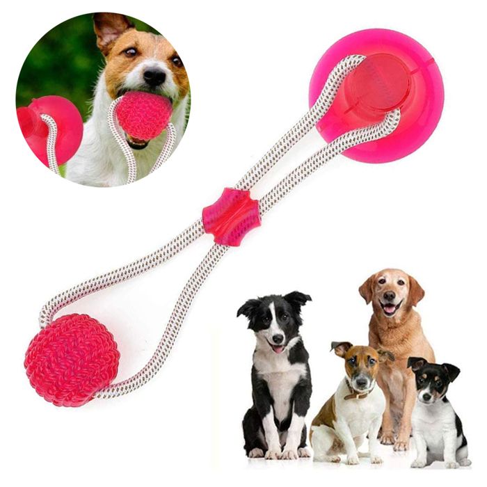 Meilleurs prix pour Jouet interactif pour chiens avec ventouse idéal pour mastiquer et nettoyer les dents des animaux.