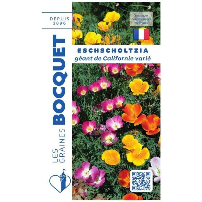 Graine - Semence - Eschscholzia géant de Californie varié