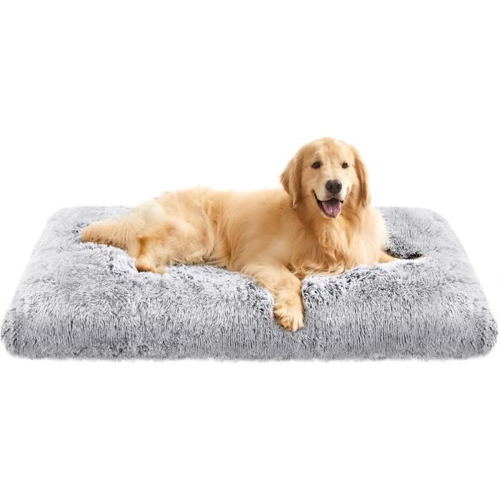 Meilleurs prix pour Panier pour Chien, Canapé, Lit pour Animaux, 122 x 74 cm, Rembourrage Moelleux, Lavable, Coussin pour Chien, Gris Ombré PGW204G01
