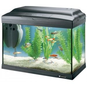 Meilleurs prix pour Ferplast Aquarium Cayman 40 classic