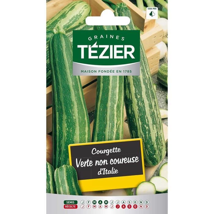 Sachet Graines Tezier Courgette Verte Non Coureuse Ditalie Sachet Legume Petit Modele Mois De Semis De 3 A 5 Achat Vente Graine Semence Sachet Graines Tezier Cdiscount