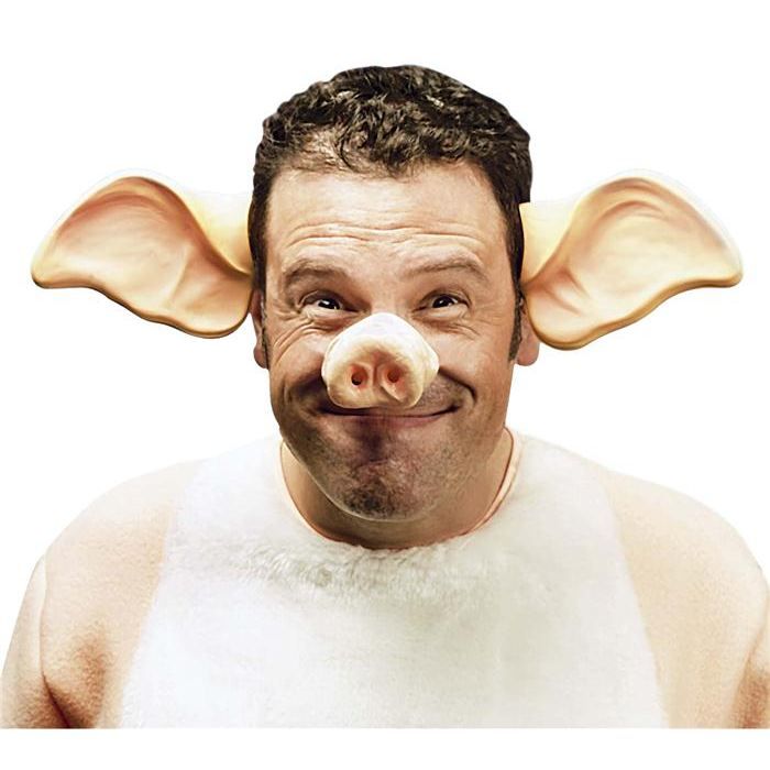 Nez De Cochon Animaux Cdiscount Jeux Jouets