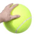 Balles de tennis de chien Puppy Thrower Chucker Jouet balle Sport Jouer pour les leçons pratiques Machines Lancer-2