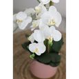 Orchidées artificielles pot rose et or 80cm-3