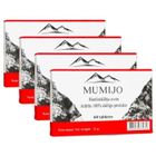 BPV Mumijo Shilajit 4 x 60 comprimés de baume de montagne Altaï Mumio Mumie Haute qualité Shilajit Мумие