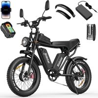 Vélo Électrique-20"*4.0 pneus tout terrain-Moteur 2000W-Batterie Amovible 52V/40Ah-Autonomie 80-120km-Shimano 7 vitesses-Noir