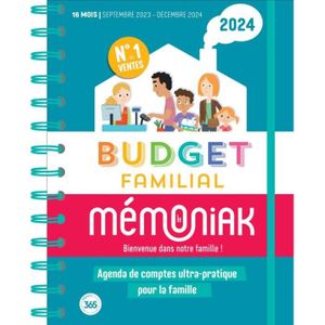 Cahier Budget Familial: Planificateur Budget Familial, cahier de compte  familial, organisateur familial