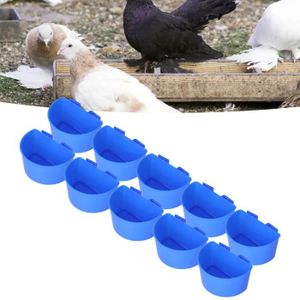 MANGEOIRE - TRÉMIE Pinellia- gobelets en plastique pour mangeoires pour oiseaux 10pcs gobelets d'alimentation pour pigeons en plastique sûrs pour