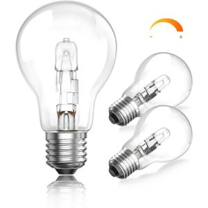 AMPOULE - LED Ampoule halogène E27 42W Dimmable, Globe A60 E27 A