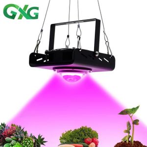 Eclairage horticole Lampe horticole de croissance LED COB étanche 220V