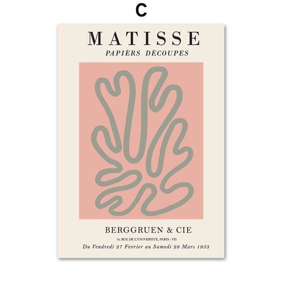 FOKTMS Bleu Matisse Corail Boho Mur Art Toile Peinture Nordique Neutre Exposition Affiche et Impressions Mur Photos Chambre décor 40x50 cm-3 pièces sans Cadre