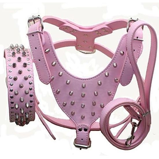 Collier,Harnais réglable pour chien, ensemble de laisses pour chiot, chat, gilet, bouledogue Collier,Harnais réglable pour chien, ensemble de laisses pour chiot, chat, gilet, bouledogue