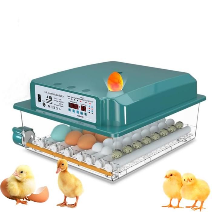 Comparer les prix de Couveuse Oeuf Automatique avec Contrôle de Température pour 36 Oeufs Retournement Automatique pour Oeufs de Poule, Caille, Canard