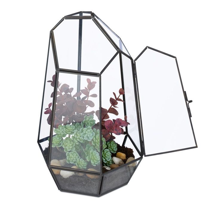 Terrarium En Verre Relaxdays Pour Plantes Succulentes - Forme Originale Avec Ouverture - Décoratif Pour Rebord De Fenêtre