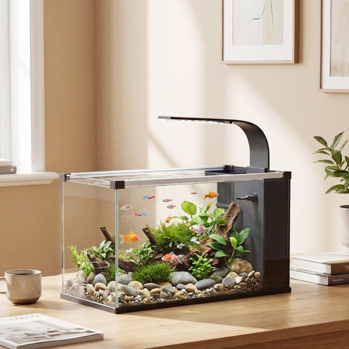 Aquarium 24 L en verre trempé avec filtre lumière LED et pompe à eau