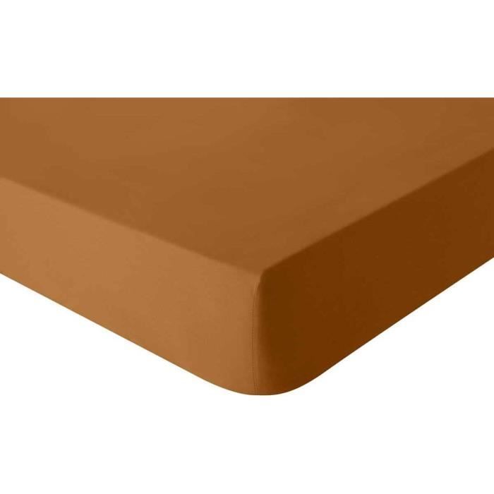 Bassetti Drap-housse Jersey Coton élasthanne - Couleur Fango - Tailles 90x190 / 100x220 Cm