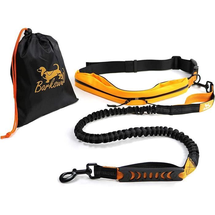 Laisse Canicross - Ceinture Chien - Laisse pour Courir avec Son Chien Mains  Libre [597] - Cdiscount