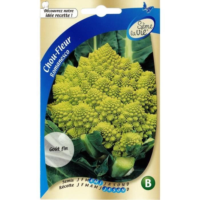 Graines De Choux Romanesco Cdiscount