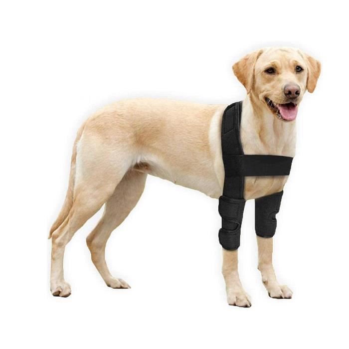 Meilleurs prix pour Coudière pour chien - Coussinets de protection pour coude et épaules canins - Hygrome du coude et de dysplasie, arthrose,