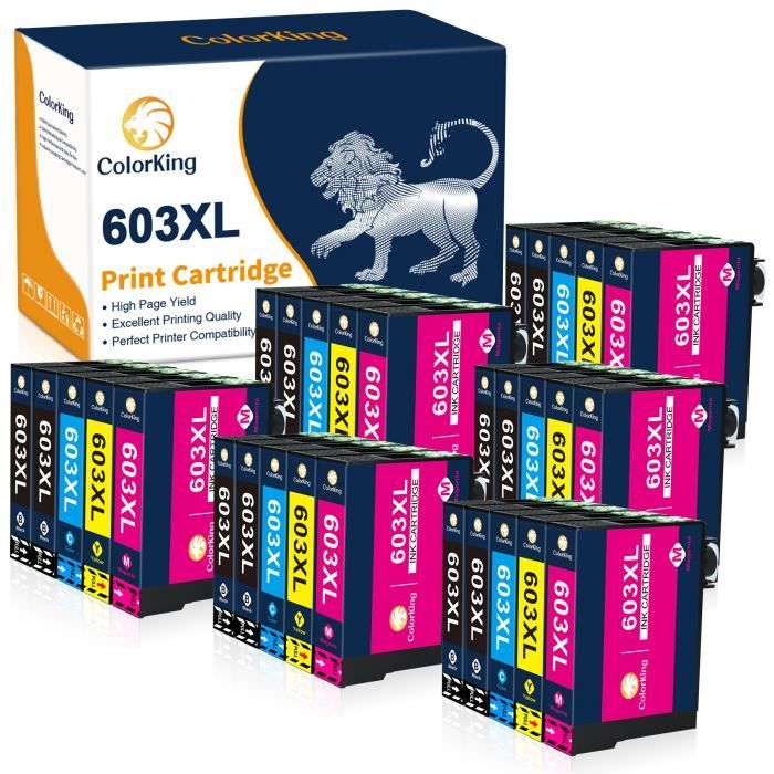 603XL 12 Paquet Cartouches d'encre pour Epson 603 XL Compatibles