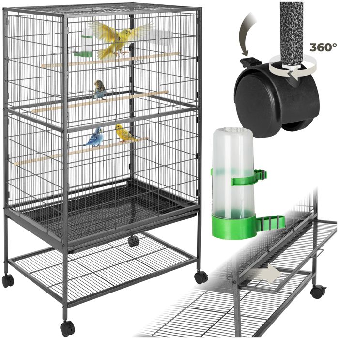 Cages Oiseaux Exotiques