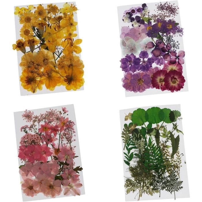 Lot D’embellissements Fleurs Anna Griffin – Dimensions – Multi-couleurs – Neuf