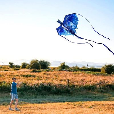Haut Cerf-Volant Bleu Fat Face Pour Garçon 12-13 Ans - Coton 100% - Occasion Très Bon État