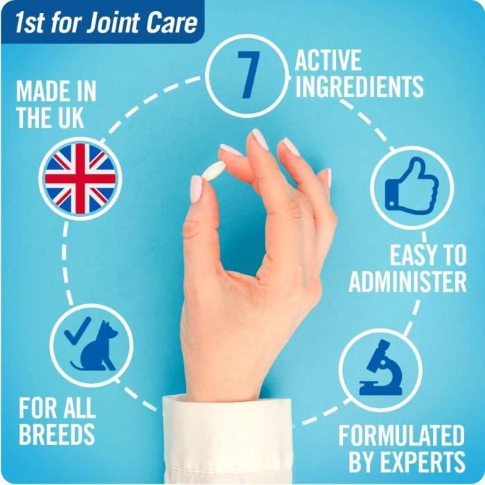 JOINTSURE Senior – Comprimés Anti-inflammatoire pour Chien arthrose Chien -  B