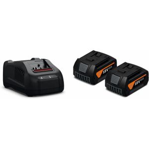 Pack 2 batteries lithium+ 18V - 5,0 Ah et 1 chargeur ultra rapide 5,0 A -  RYOBI - RC18150-250G - Cdiscount Bricolage