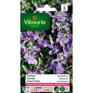 GRAINE - SEMENCE Graine de Violette des 4 saisons odorante - VILMORIN - Plante fleurie - Massif - Fleurit chaque année