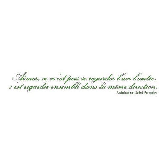 Stickers Citation Saint Exupery Ref T Mk1056 Vert 28x1 Cm Achat Vente Stickers Cdiscount Stickers Citation Saint Exupery Ref T Mk1056 Vert 28x1 Cm Achat Vente Stickers Cdiscount