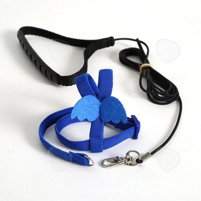 Comparer les prix de C Harnais réglable pour Perroquet Laisse pour Animal Domestique Corde Anti-Morsure Sangle pour Oiseaux perroquets cacatoès aras