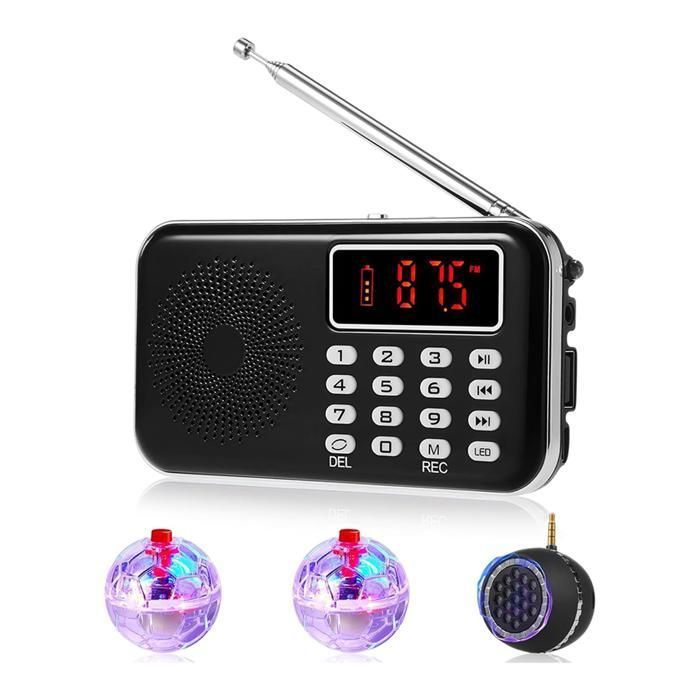 Kit DÉquipement Spirit Box 4 Pièces avec 2 Boules LED pour Chat et 1 Haut-Parleur Spirit Box Équipem KIT DECORATION DE LHABITAT