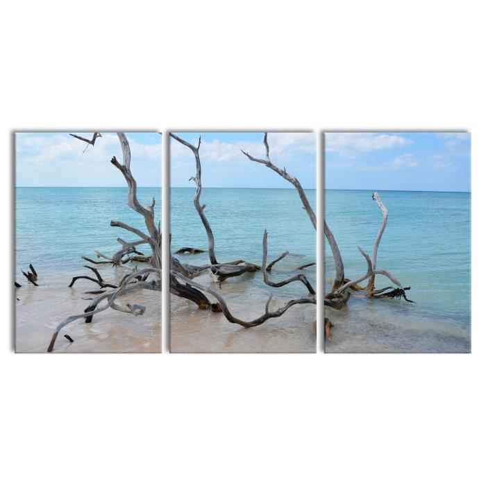 Plage avec du bois flotté à Cuba, 3 pièces XXL (240 x 120 en tout) -  peinture sur toile - décoration - impression d'art - Achat / Vente tableau  - toile - Cdiscount